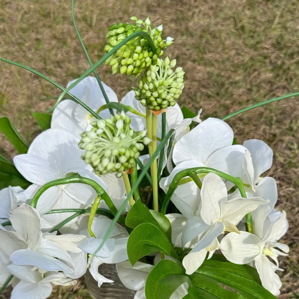 White and Green Orchid Display